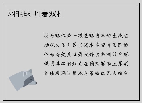 羽毛球 丹麦双打